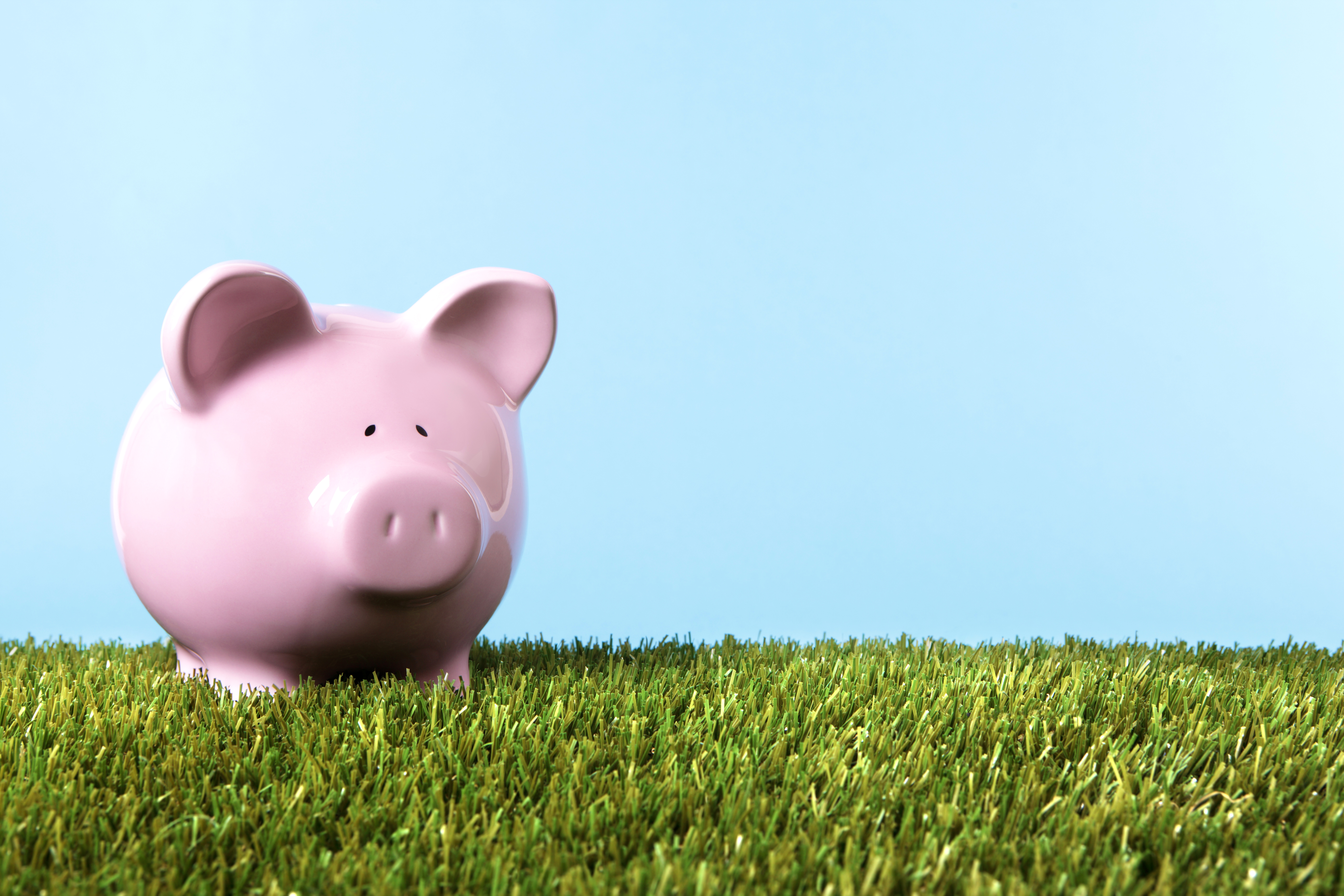 Budgeting and Saving Money